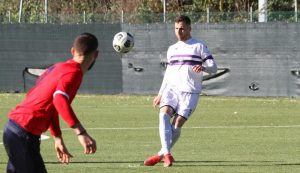 Boreale