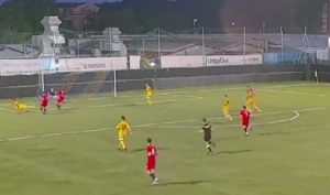 Beppe Viola Urbetevere-Aranova