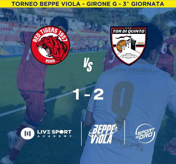 Beppe Viola 2