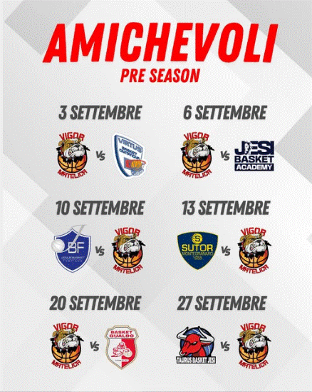 Vigor Basket Matelica