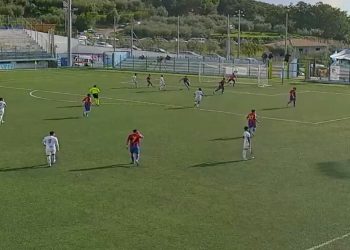 insieme formia vigor