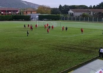 Anagni Luiss