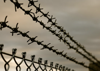 Giorno della Memoria, LND: "Al 21' raccoglimento su tutti i campi"