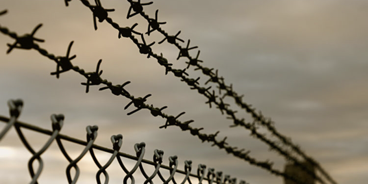 Giorno della Memoria, LND: "Al 21' raccoglimento su tutti i campi"