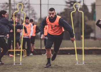 Unipomezia