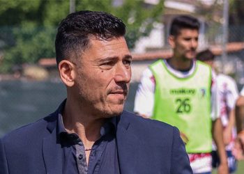 Unipomezia