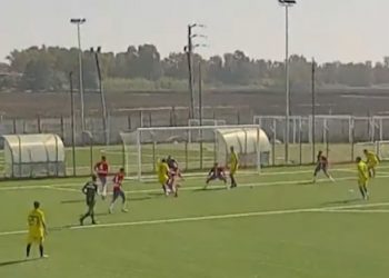 W3-Audace Eccellenza
