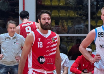 Vigor Basket Matelica