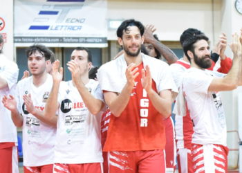 Vigor Basket Matelica