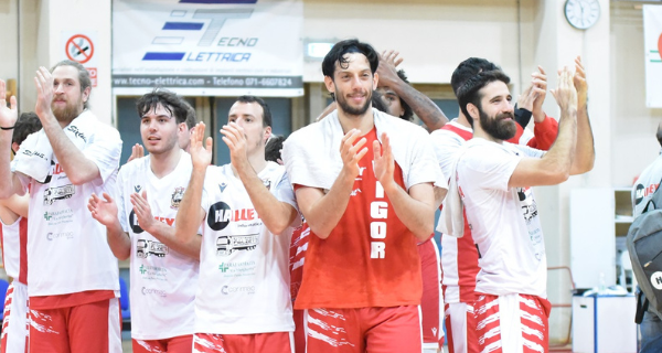 Vigor Basket Matelica