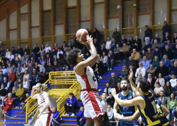 Vigor Basket Matelica