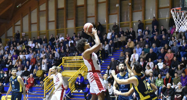 Vigor Basket Matelica