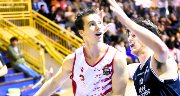 Vigor Basket Matelica