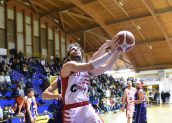 Vigor Basket Matelica