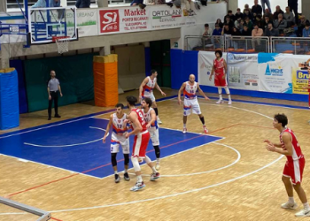 Vigor Basket Matelica