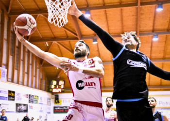 Vigor Basket Matelica
