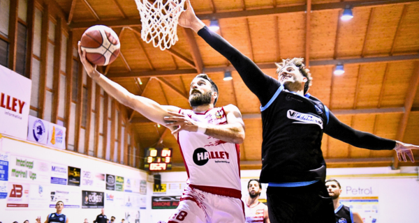 Vigor Basket Matelica