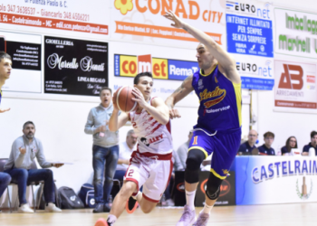 Vigor Basket Matelica