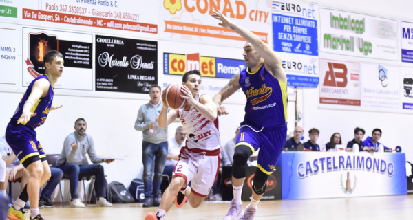 Vigor Basket Matelica