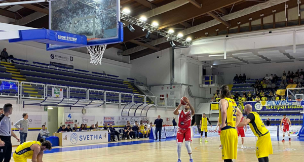 Vigor Basket Matelica