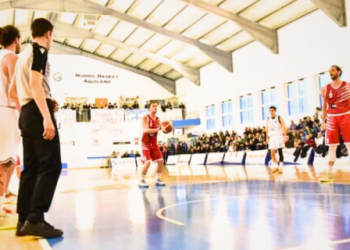 Vigor Basket Matelica