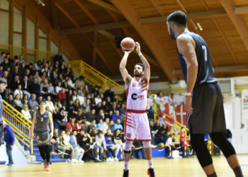 Vigor Basket Matelica