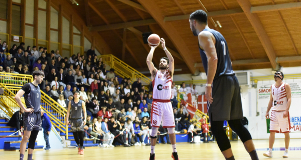 Vigor Basket Matelica