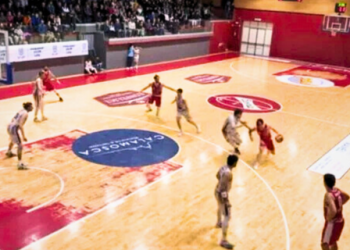 Vigor Basket Matelica