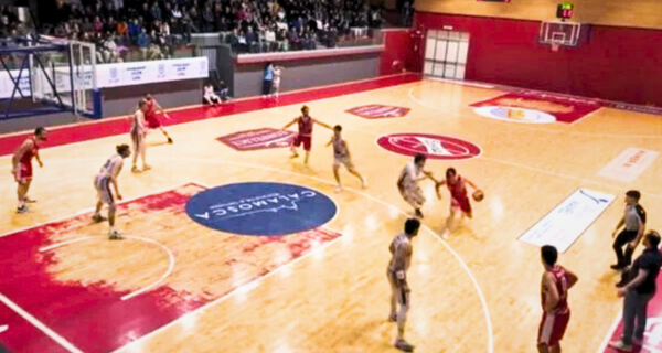Vigor Basket Matelica