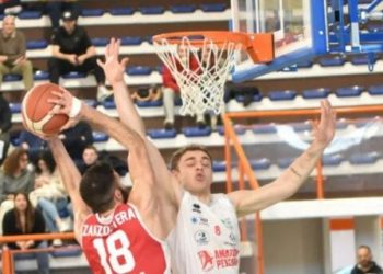Vigor Basket Matelica