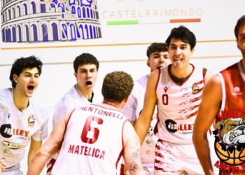 Vigor Basket Matelica