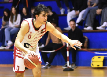 Vigor Basket Matelica
