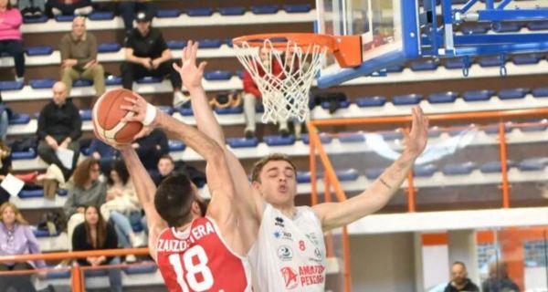 Vigor Basket Matelica