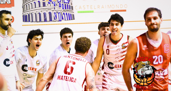 Vigor Basket Matelica