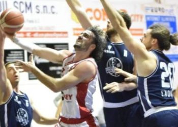 Vigor Basket Matelica