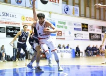 Vigor Basket Matelica