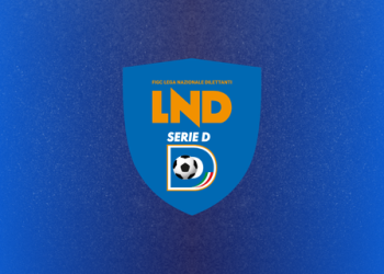 Logo Serie D