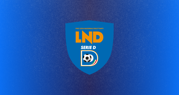 Logo Serie D