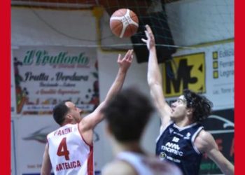 Vigor Basket Matelica