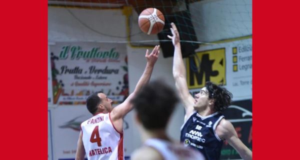 Vigor Basket Matelica