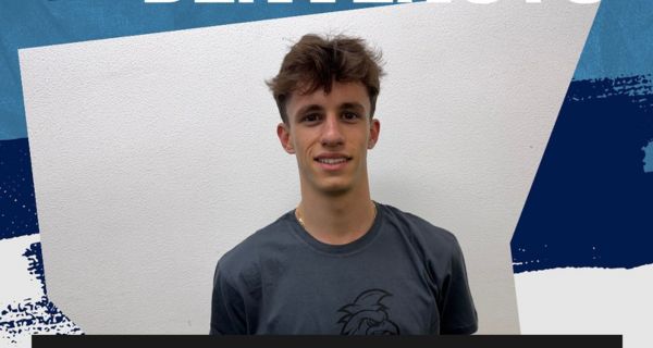 Basketball Gallaratese