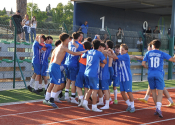 Vis Aurelia
