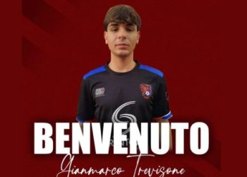 Pro Calcio Cecchina