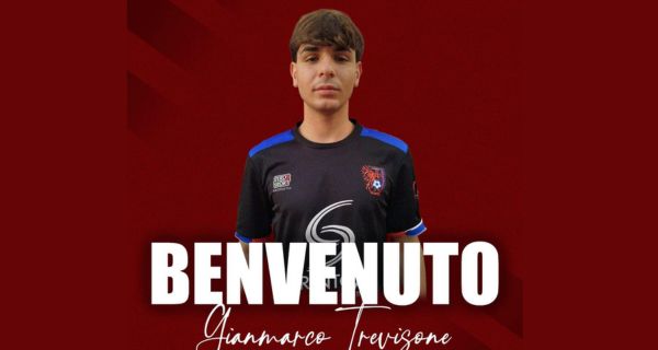 Pro Calcio Cecchina