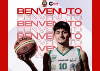 Vigor Basket Matelica