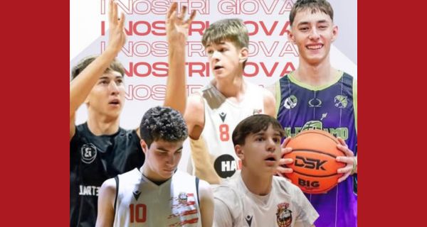 Vigor Basket Matelica