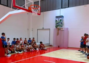 Vigor Basket Matelica
