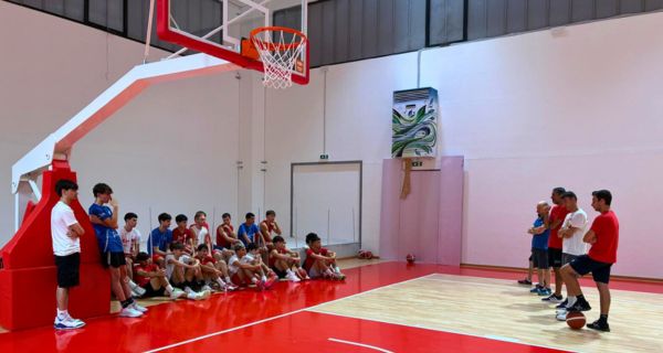 Vigor Basket Matelica