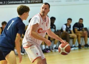 Vigor Basket Matelica